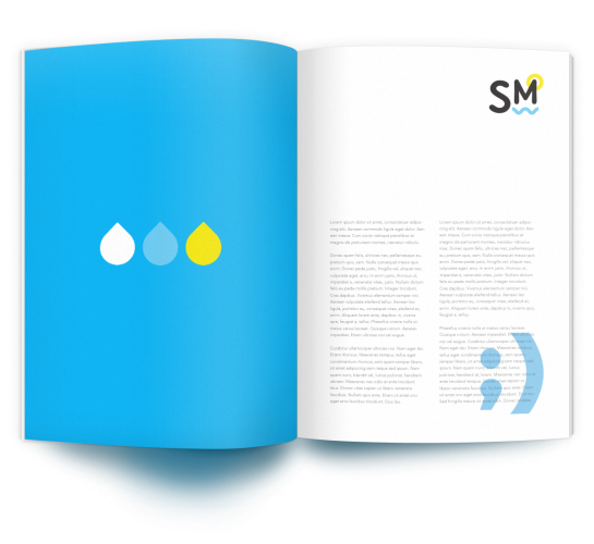 Algemene voorwaarden  Lean Six Sigma Consulting