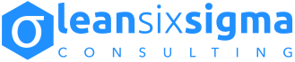 LSS lean six sigma consulting Nederland