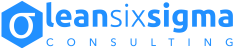 LSS lean six sigma consulting Nederland